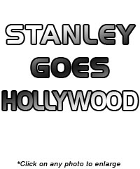 Team Photo & Champions Parade