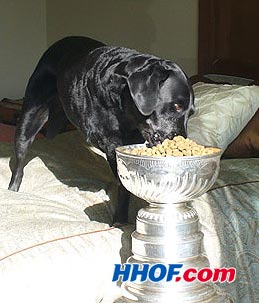 The Anaheim Ducks' Sean O'Donnell's black Labrador retriever Buddy eats from the Stanley Cup.