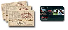 $500 Gift Card, $100 E-Gift Certificate