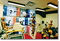 The Training Area shows the equipment used by trainers anfd therapists