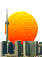Visitor Info