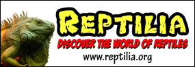 Reptilia: Discover the world of reptiles