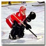 Manon Rheaume was the 1st woman to play with an NHL team