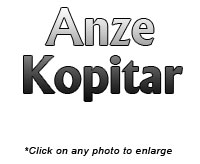 Anze Kopitar