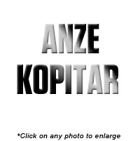 Anze Kopitar