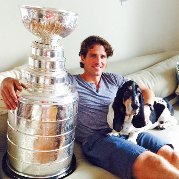 patrick sharp basset hound